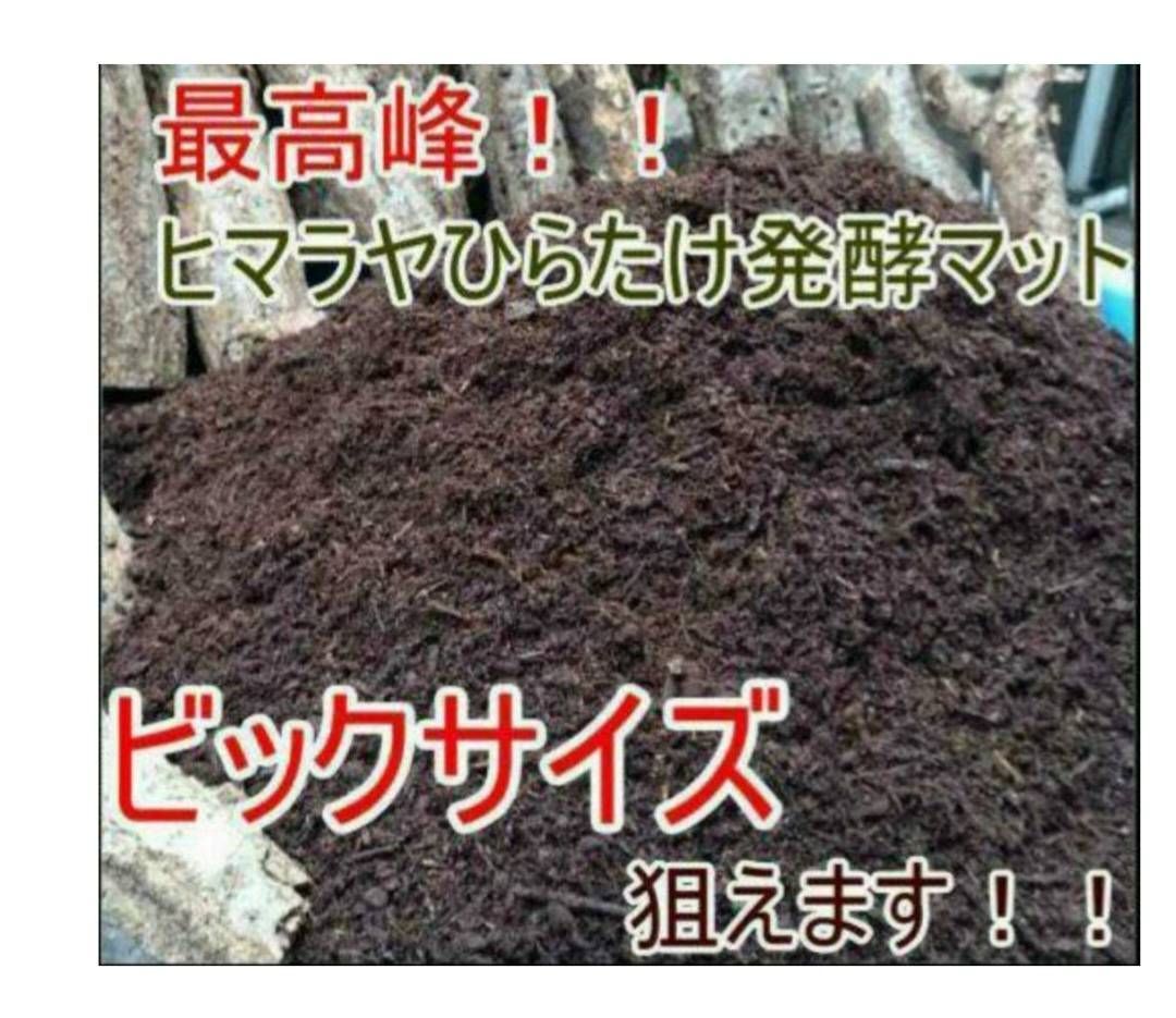 送料無料！40リットル　ヘラクレスも巨大化！ヒマラヤひらたけ発酵カブトムシマット 幼虫が巨大化！改良版☆発酵カブトムシマット【40リットル】幼虫