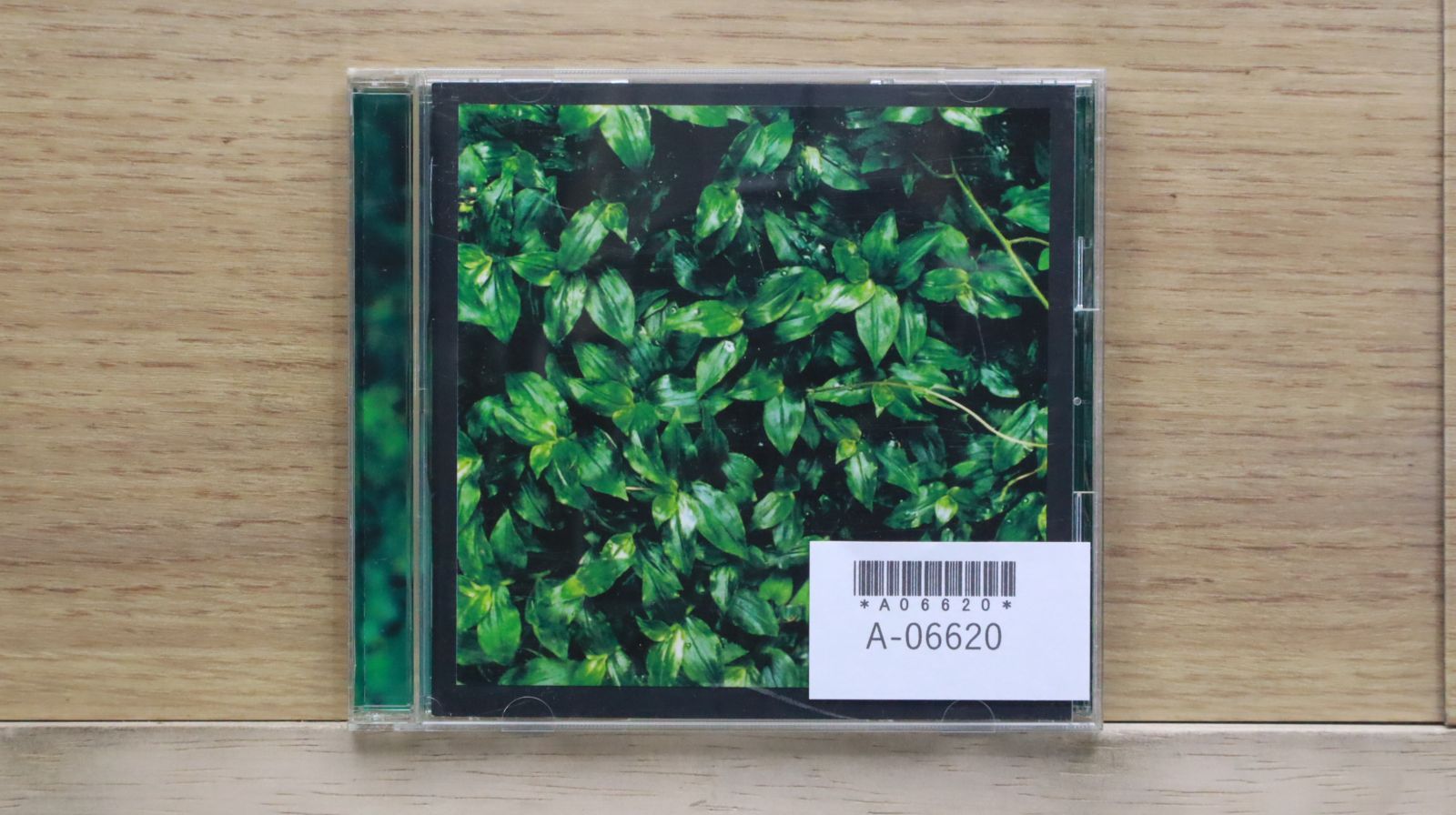 レア エレファントカシマシ CD7枚セット 激レア！エレファントカシマシの『エレファントカシマシ』中古