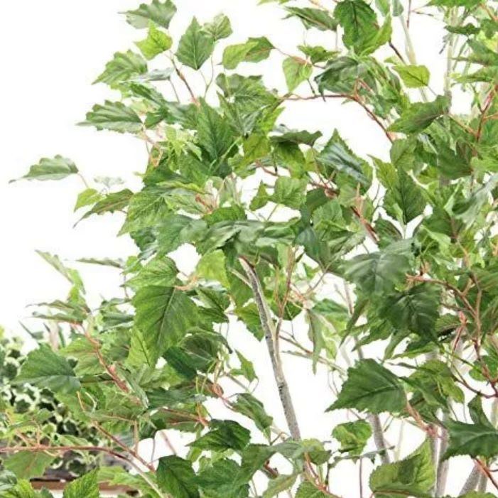 光触媒 人工観葉植物 ウォールグリーン フェイクグリーン 白樺の木190 