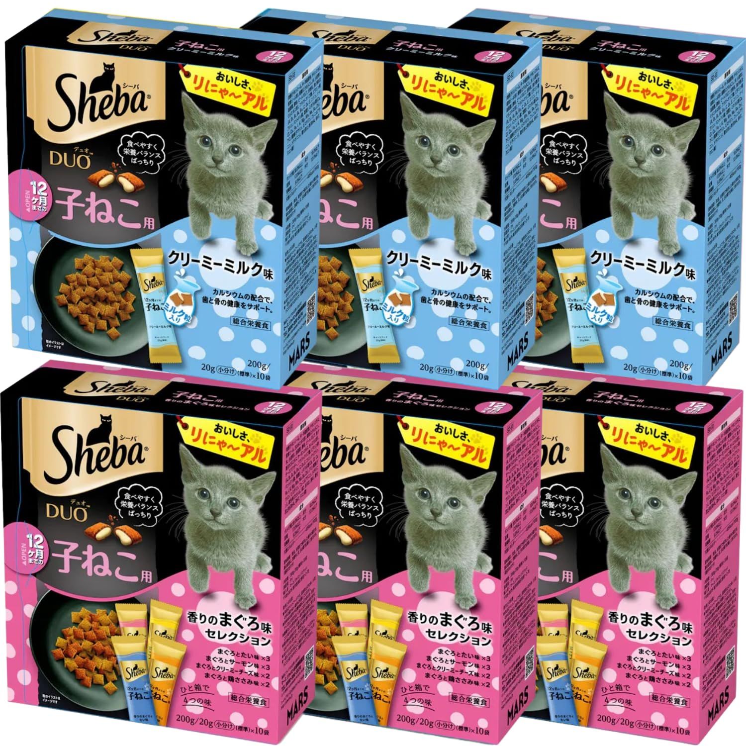 シーバ デュオ 子猫用 ドライフード カリカリ 人気 2種 福袋 セット