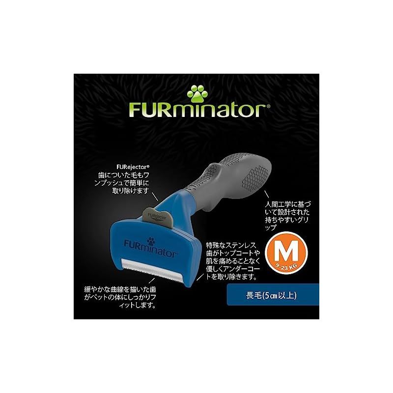 中型犬