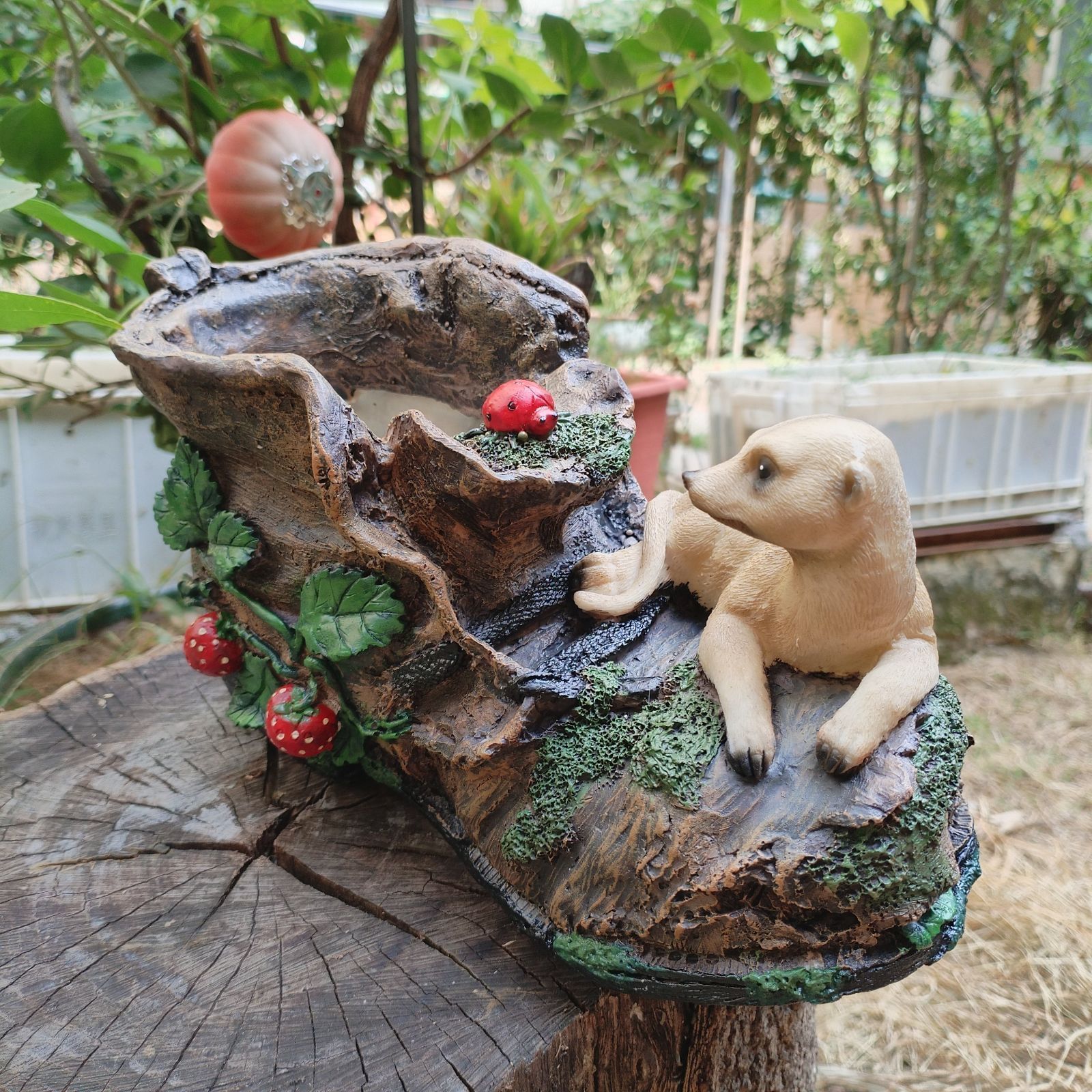 ユニーク 多肉植物
