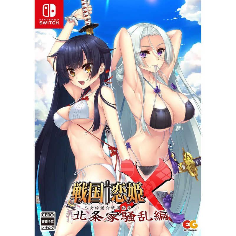 戦国恋姫 Switch 限定版セット ソフト