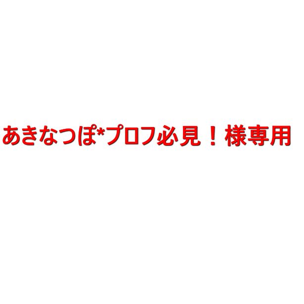 にゃ♡プロフ必読様＊専用 にゃん。@プロフ必読様専用ページ - メルカリ