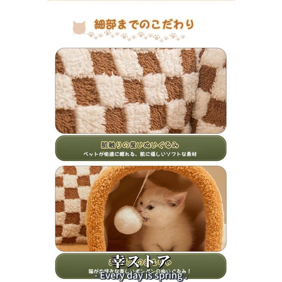 キャットトンネル 猫