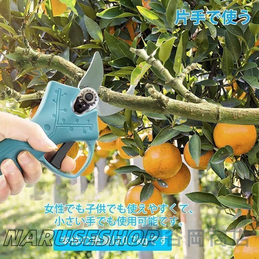 電動