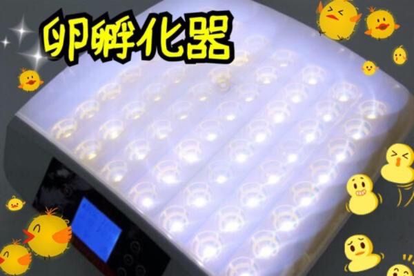 LED 鳥類専用孵卵器 孵卵機 ふ卵器 孵化器 ふ化器インキュベーター 56