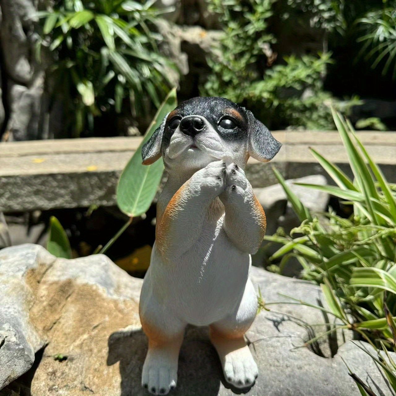 拝んでいる犬 イヌ