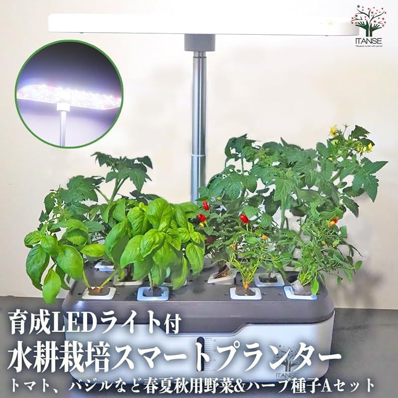 ＩＴＡＮＳＥ 水耕栽培スマートプランター