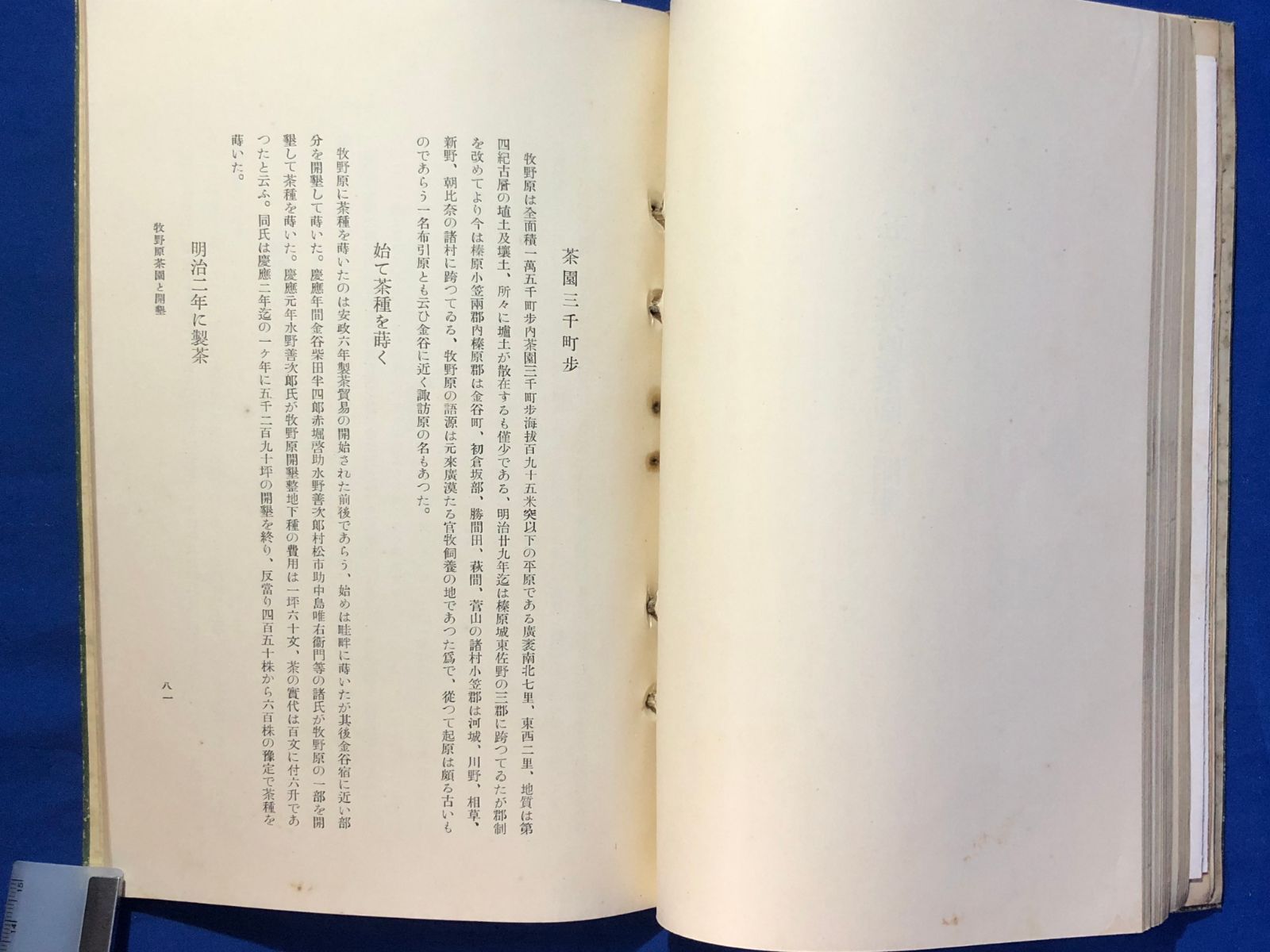 CK800サ○非売品 「光栄の茶業」 静岡県茶業組合連合会議所 昭和6年 