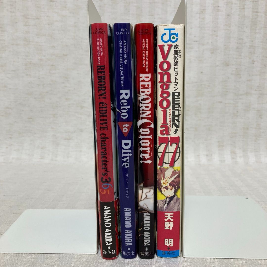 家庭教師ヒットマンREBORN　CD販促用ポスター 非売品 家庭教師ヒットマンREBORN 書店用非売品タペストリー 2006年の物
