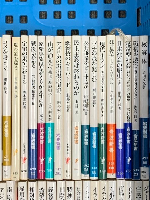本 11 岩波新書 まとめて 100冊以上 セット 数学入門 心と脳 特捜