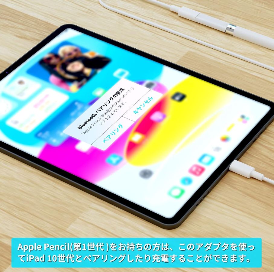 匿名発送】Apple USB-C - Apple Pencilアダプタ iPad第10世代