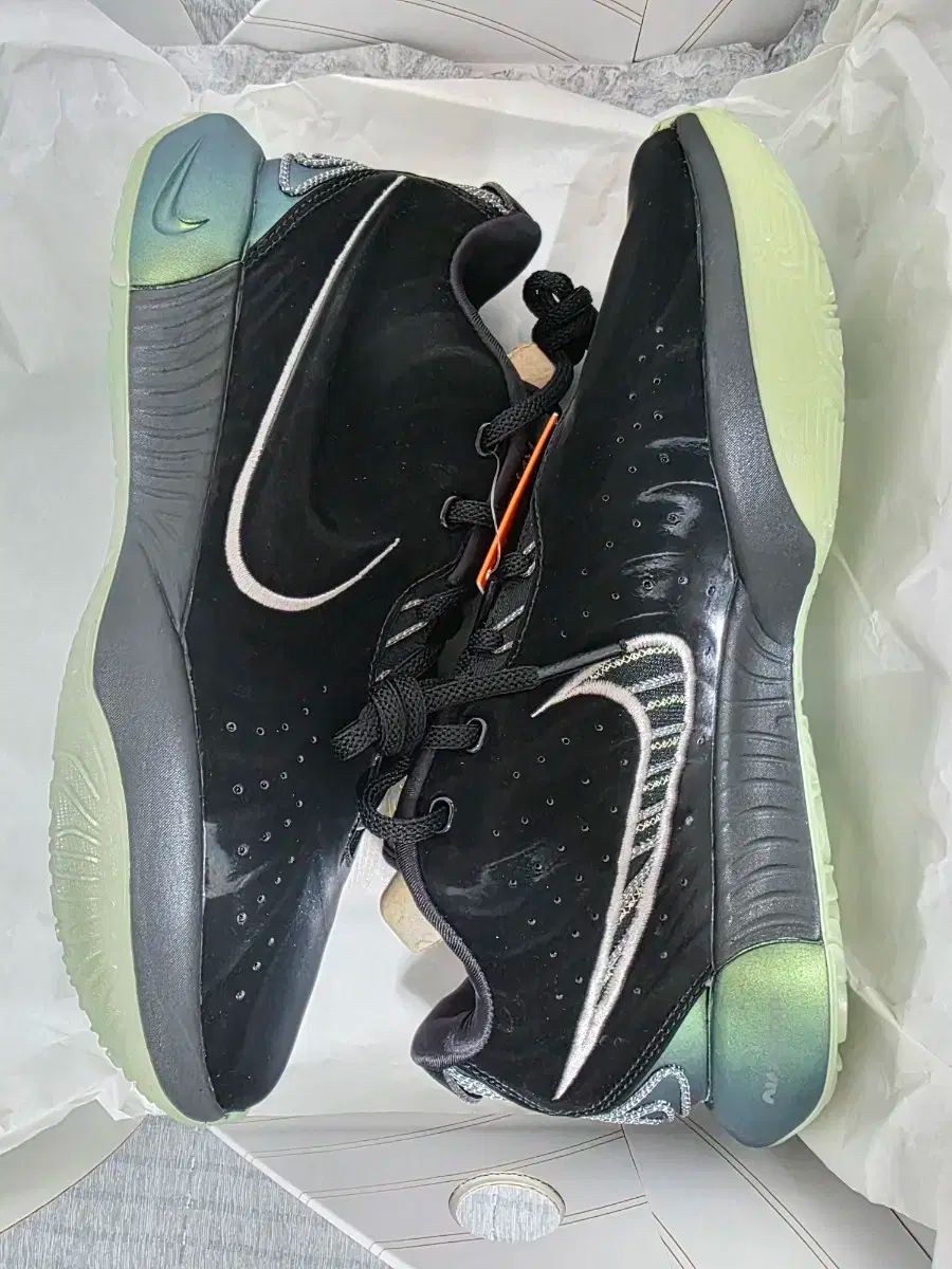 NIKE ナイキ レブロン 21 EP タヒチアン 285