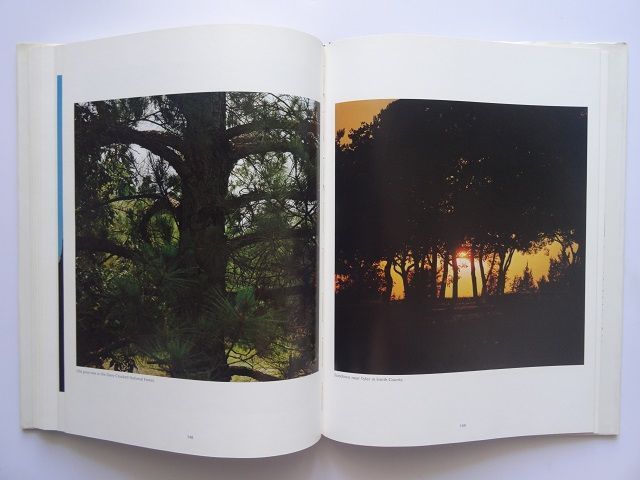 洋書◇テキサス写真集 本 ロバート 景色 自然 風景 アメリカ