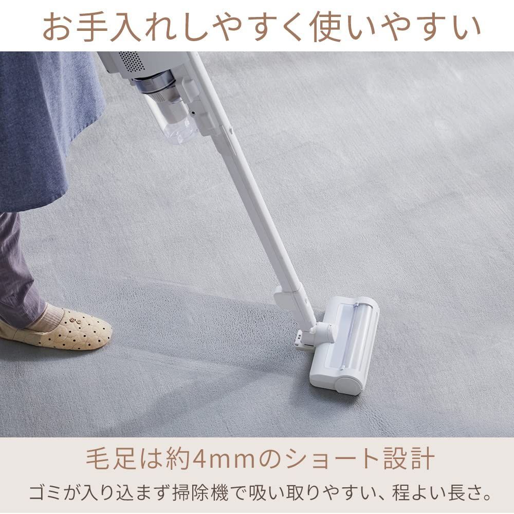ラグ・カーペット・マット 【数量限定】じゅうたん 北欧 おしゃれ さらフワ触感 フランネル 防ダニ カーペット対応 マット ラグカーペット 洗える ラグ 滑り止め付き 200×300㎝ ダークグレー フランネルラグ アイリスプラザ