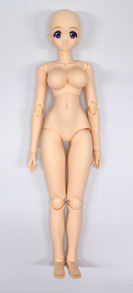 ハピネスクローバー