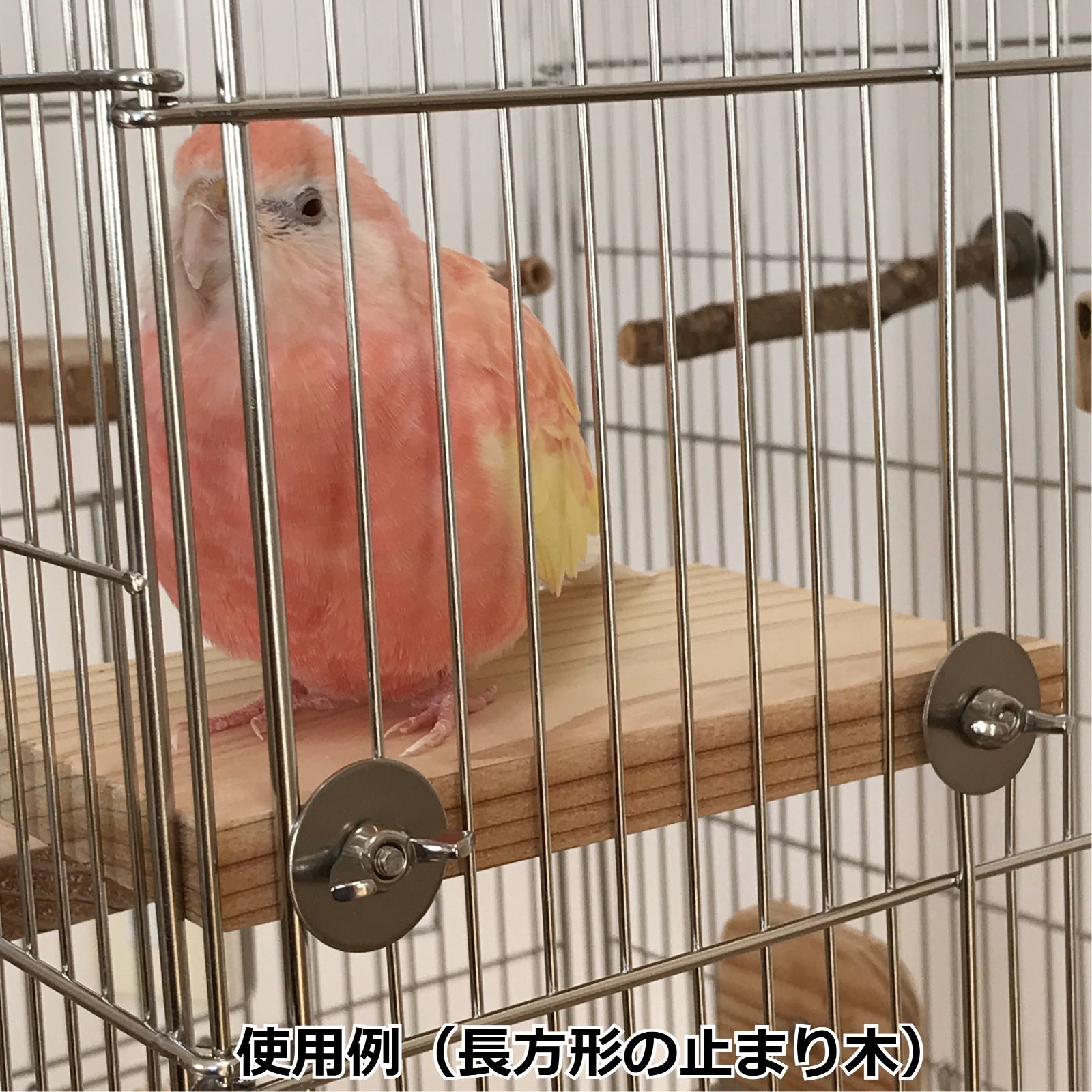 長方形止まり木 15×9センチ 2枚セット インコ・小動物用ステップ