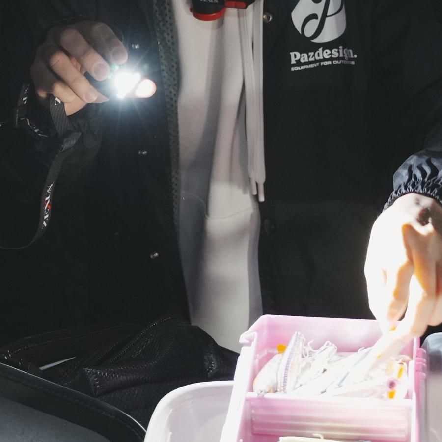 冨士灯器 ZEXUS(ゼクサス) LEDライト ZX-R40 充電式 [最大420ルーメン