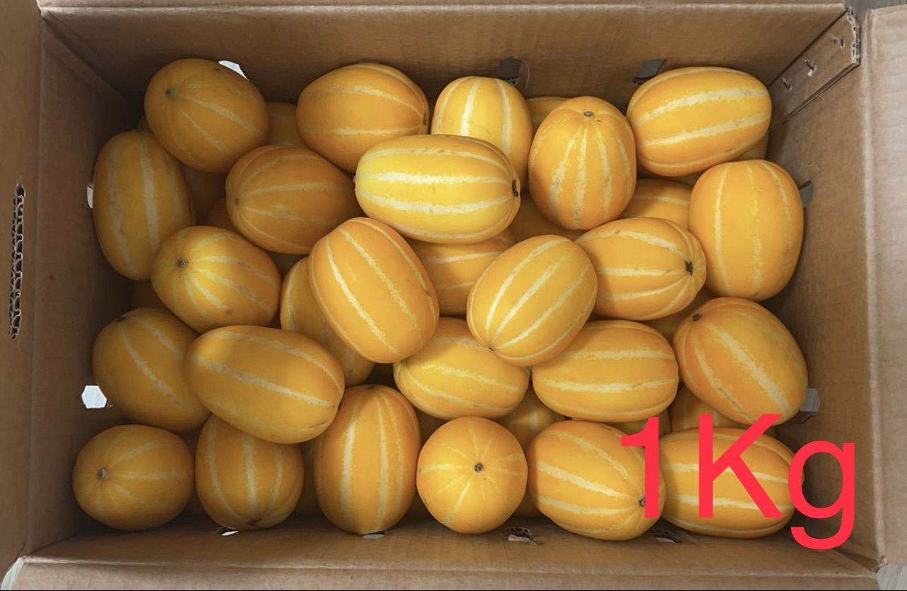 韓国産　韓国チャメメロン　韓国香瓜   2kg