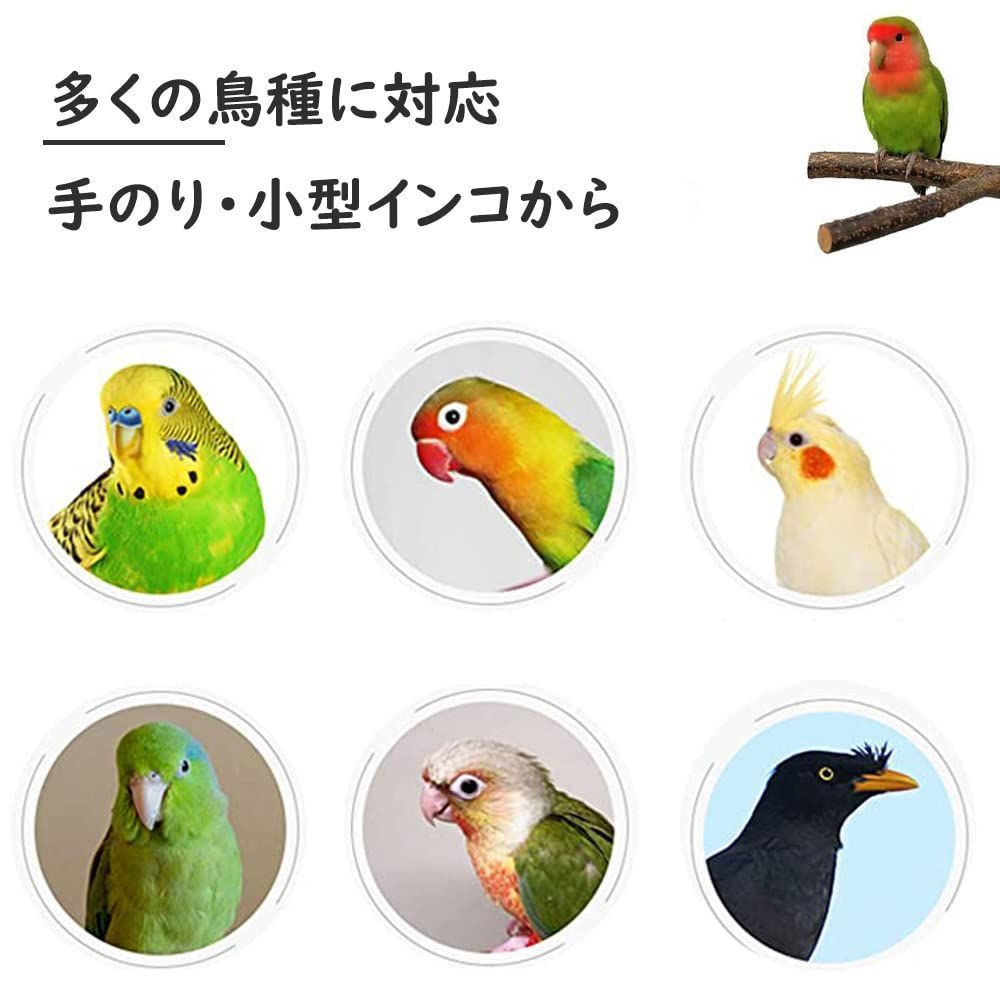 文鳥