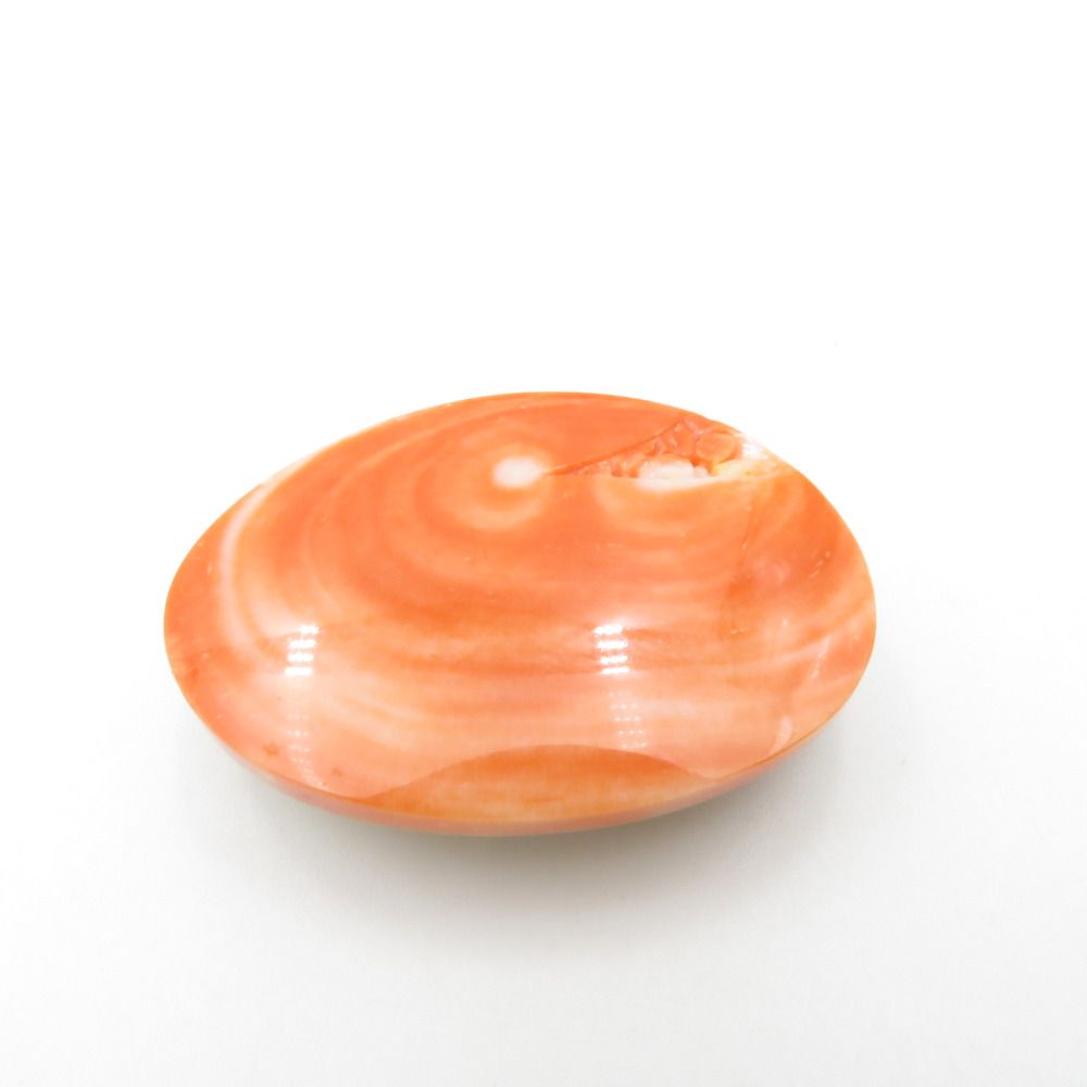 帯留め 珊瑚 楕円形に花 朱色 アクセサリー 工芸品 普段着物 和装小物  