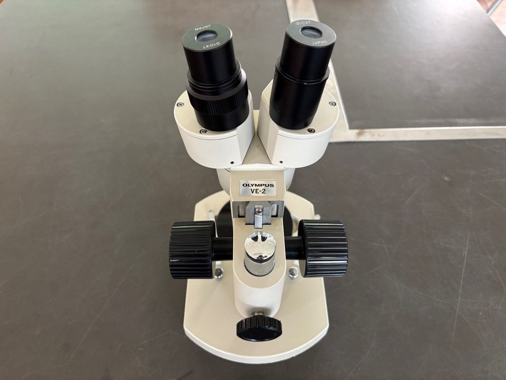 【ぜひ、お見逃しなく】 双眼実体顕微鏡 OLYMPUS VE-2