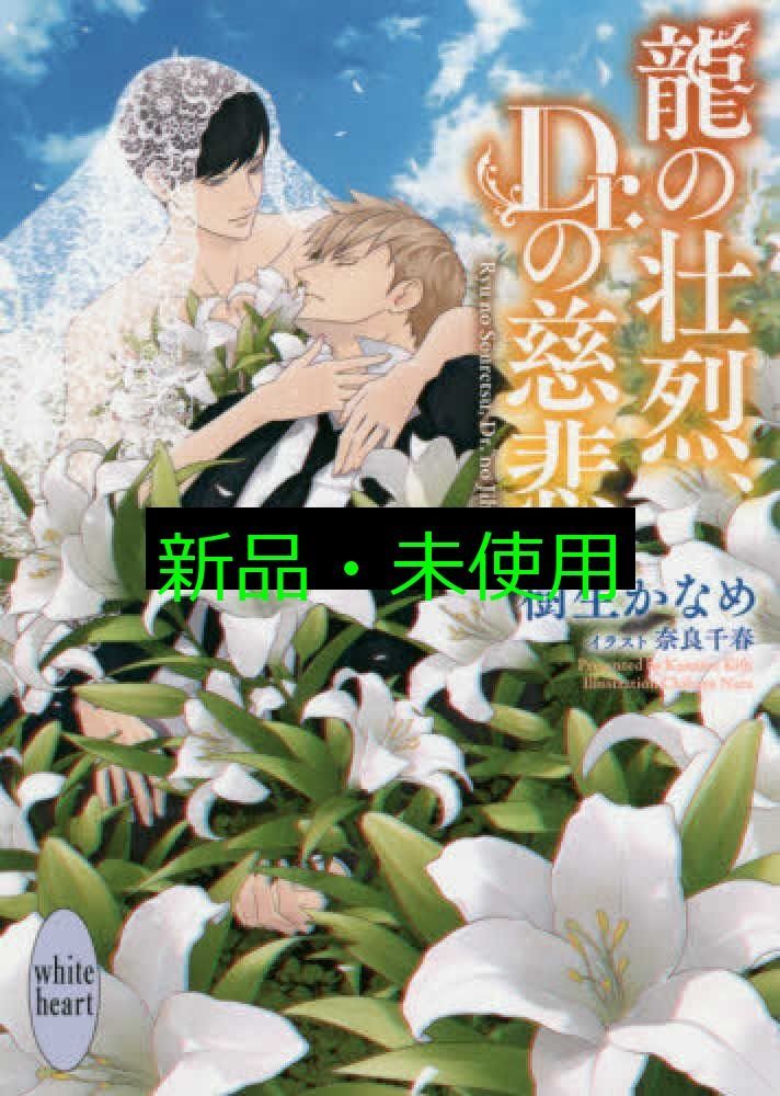 龍の壮烈、Dr.の慈悲 (講談社X文庫) 樹生 かなめ; 奈良 千春