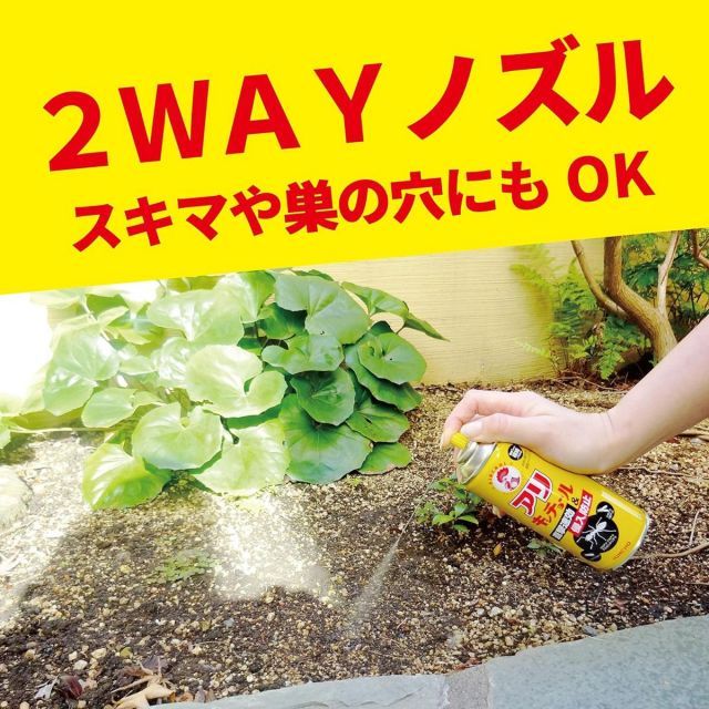 金鳥 アリキンチョール 300ml 2本パック×10個セット アリ用スプレー 虫よけ アリ 侵入防止 アリ駆除 アリ退治 蟻退治 アリ対策 殺虫剤 害虫対策