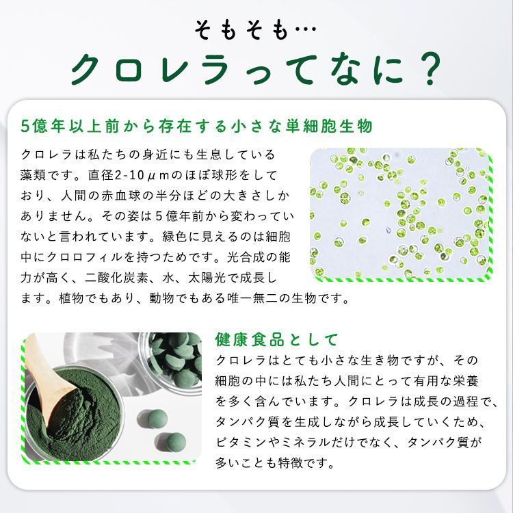 ヤエヤマクロレラ
