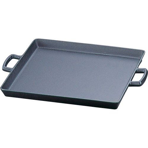 岩鋳 Iwachu オイルプレート(大) 黒焼付 内寸30×27cm 直火用 南部鉄器