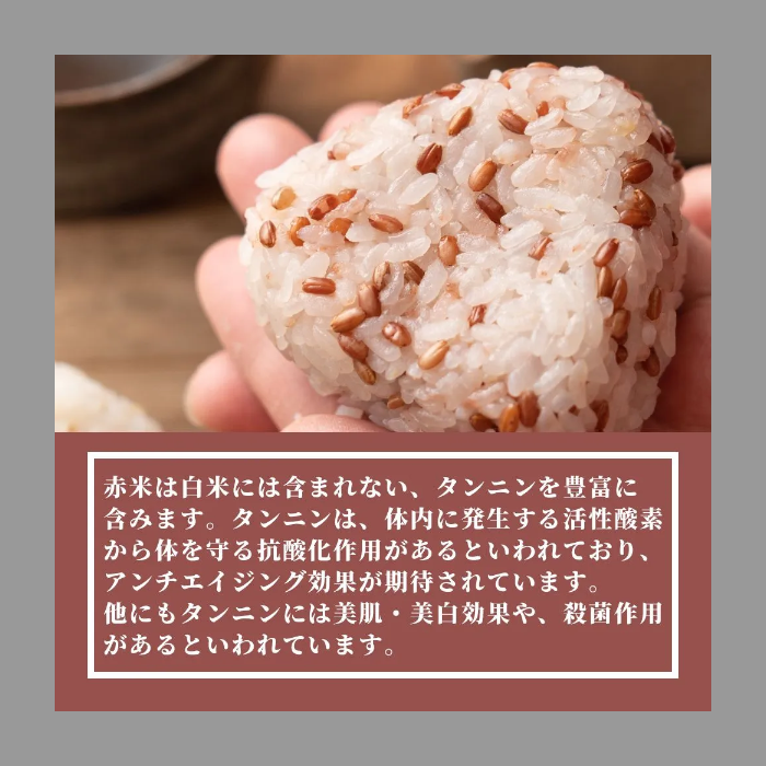 【雑穀米本舗】雑穀 雑穀米 国産 赤米 2.7kg(450g×6袋)-5