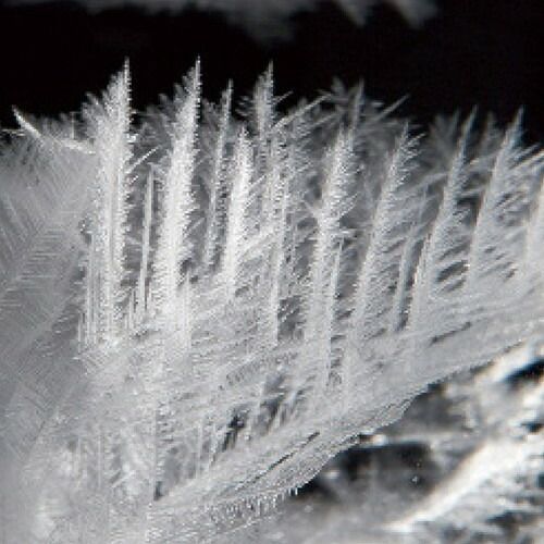 お取り寄せギフトA 茶谷産業 温度計-ストームグラス 333-279 A3