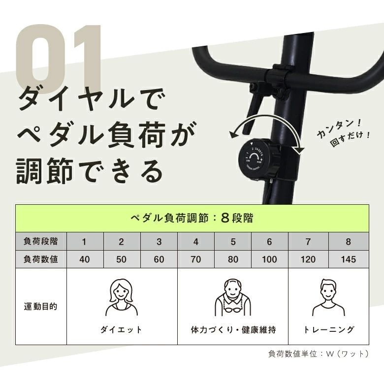未使用 新品 フィットネスバイク アルインコ エアロ