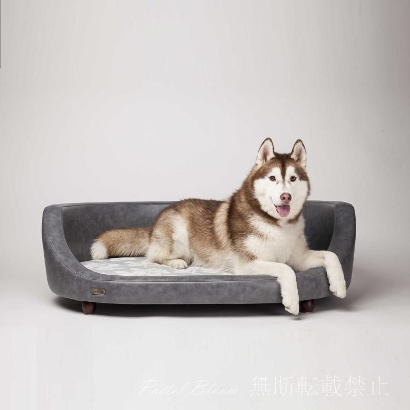 犬小屋 犬