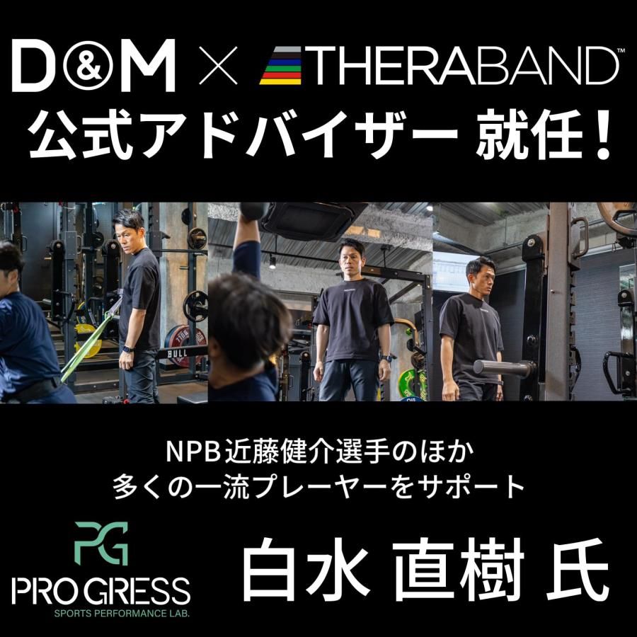 セラバンド(THERABAND) トレーニングチューブ バンドタイプ 2m