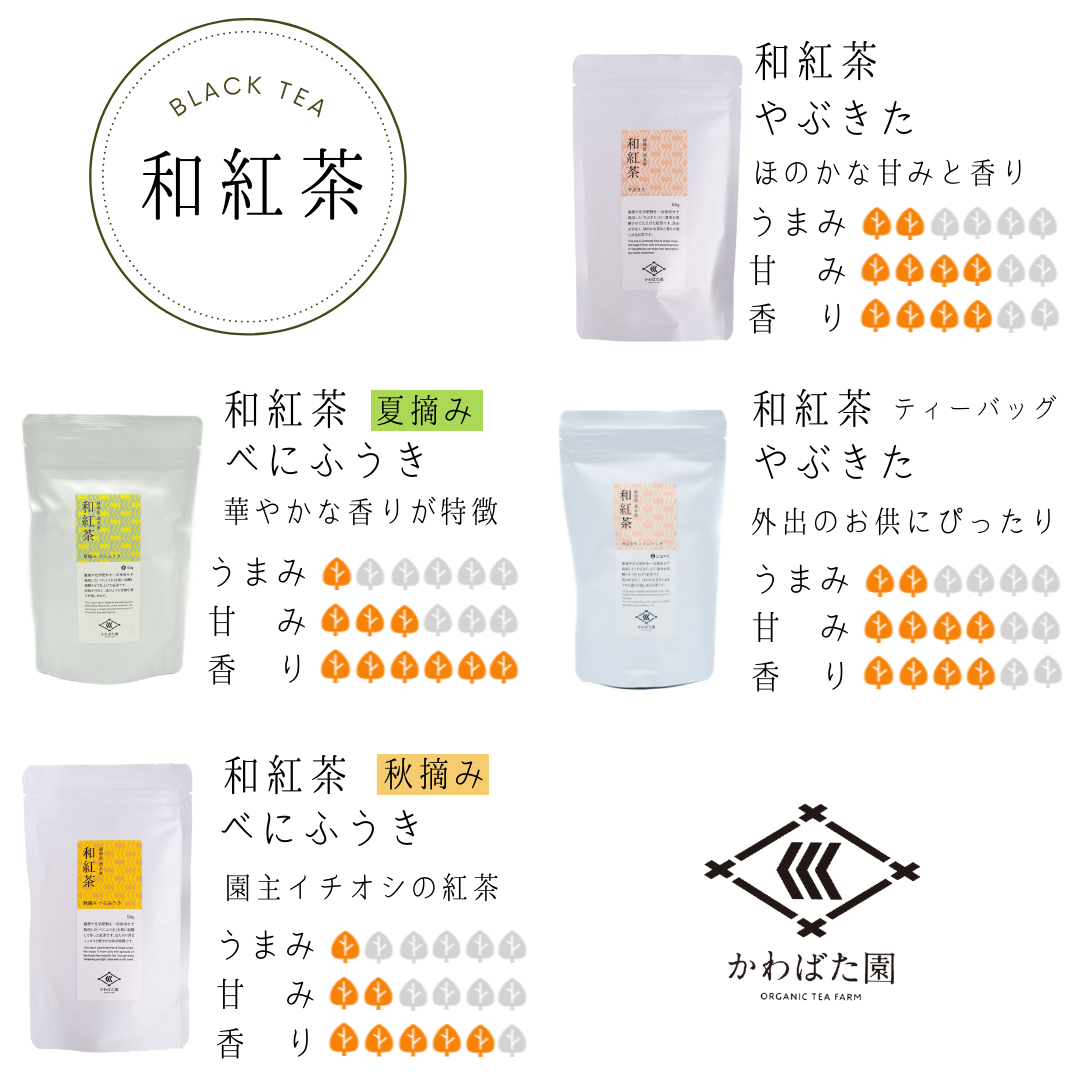 2024 新茶【農薬・化学肥料不使用】煎茶ティーバッグ やぶきた 15パック