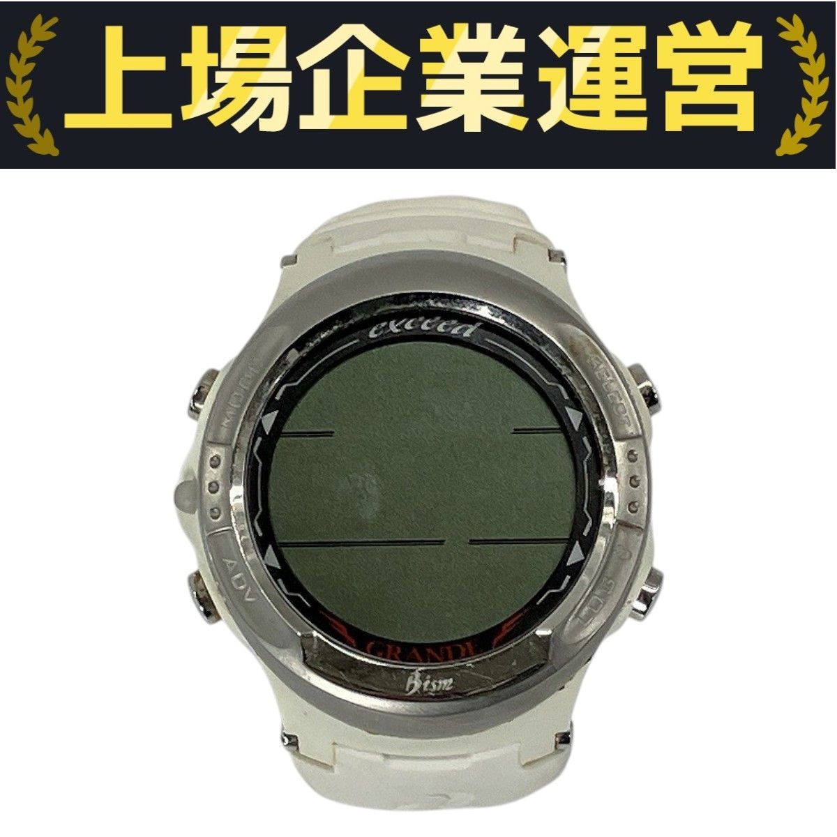 Bism - 【訳あり】Bism ダイブコンピュータDIVE GRANDE Bism DIVE GRANDE exceed ダイブコンピューター ダイコン