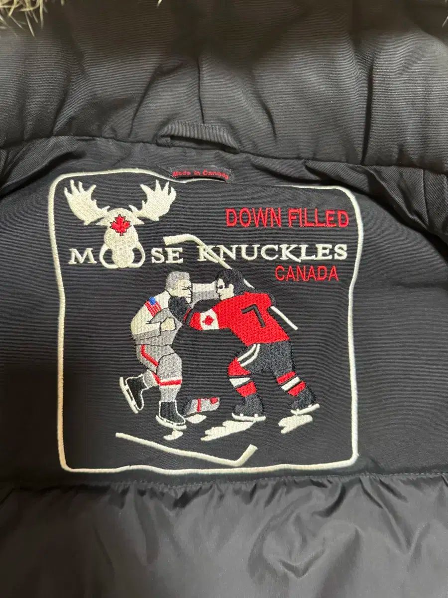 MOOSE