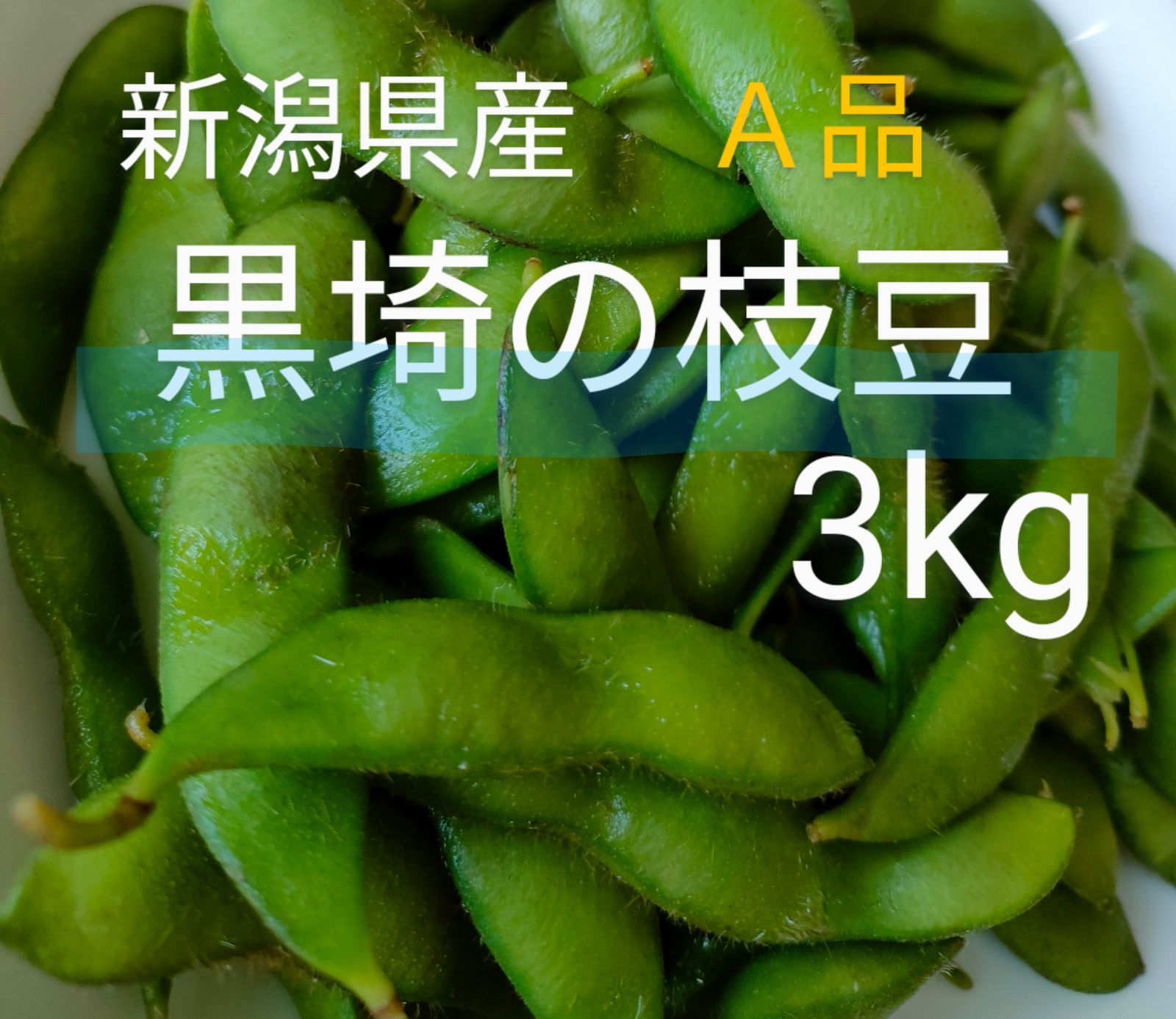 新潟県産 黒埼の枝豆 えだまめ 茶豆 3キロ 朝採り当日発送