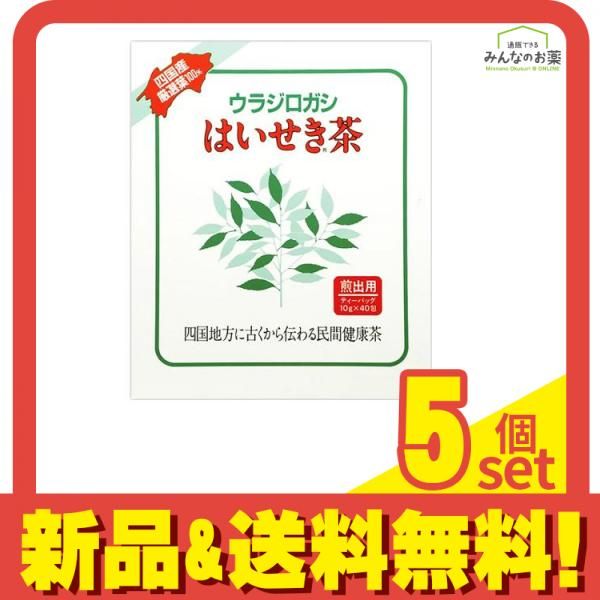 はいせき茶(煎出用) 10g (×40包) 6個セット 【公式通販】