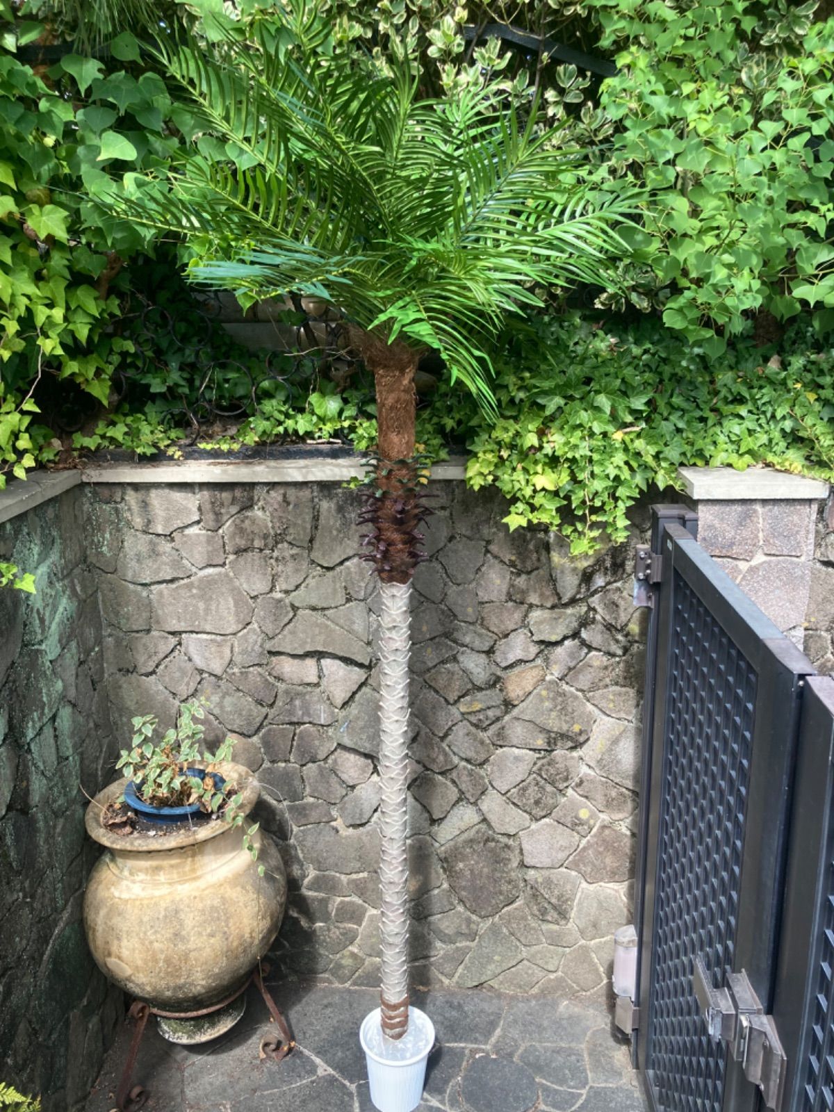 光触媒 人工観葉植物 ウォールグリーン フェイクグリーン フェニックス 