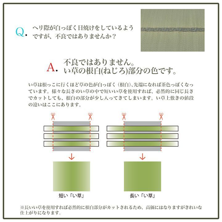 カーペット