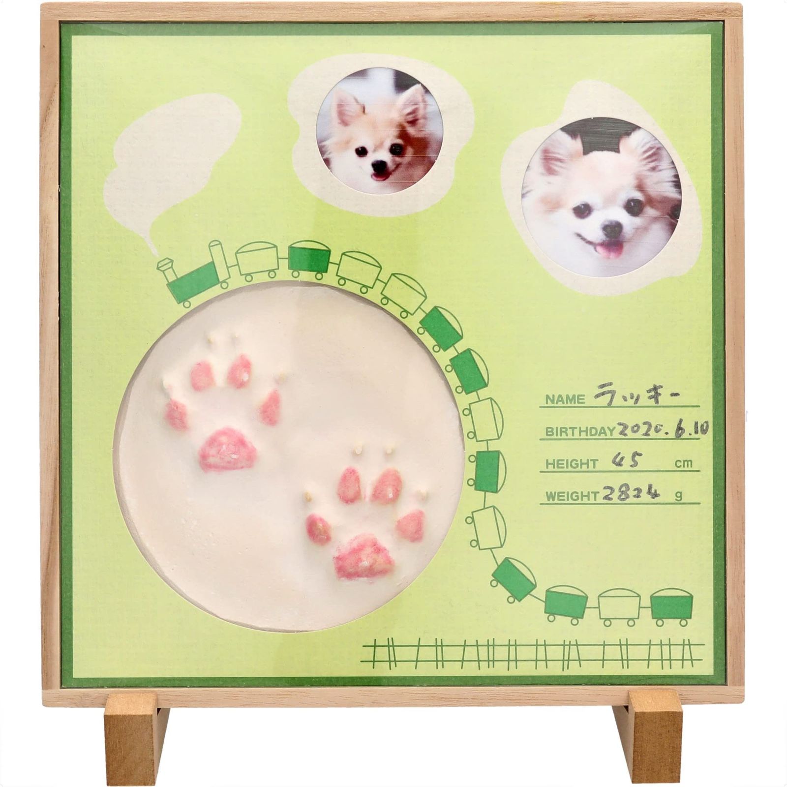 TATRAS ダウン ベスト フード パーカー タトラス 迷彩02