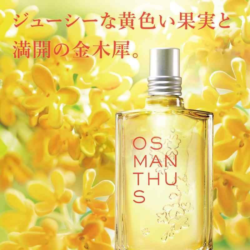 L OCCITANE