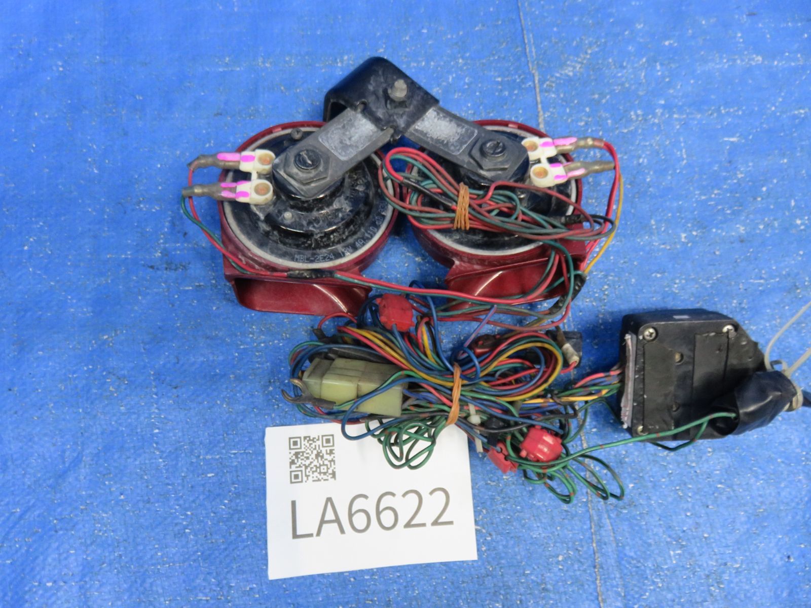 アリーナ ホーン