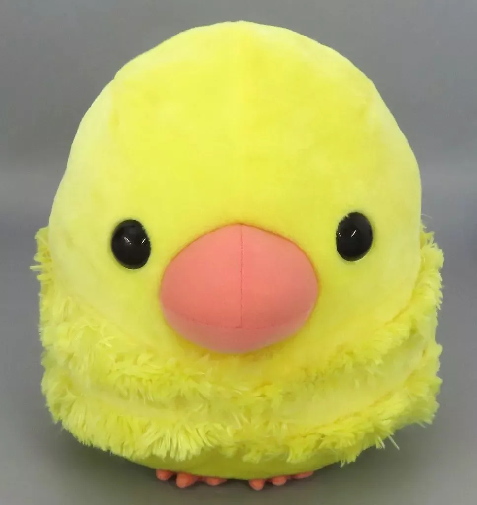 2025年最新】ことり隊 bigぬいぐるみの人気アイテム - メルカリ