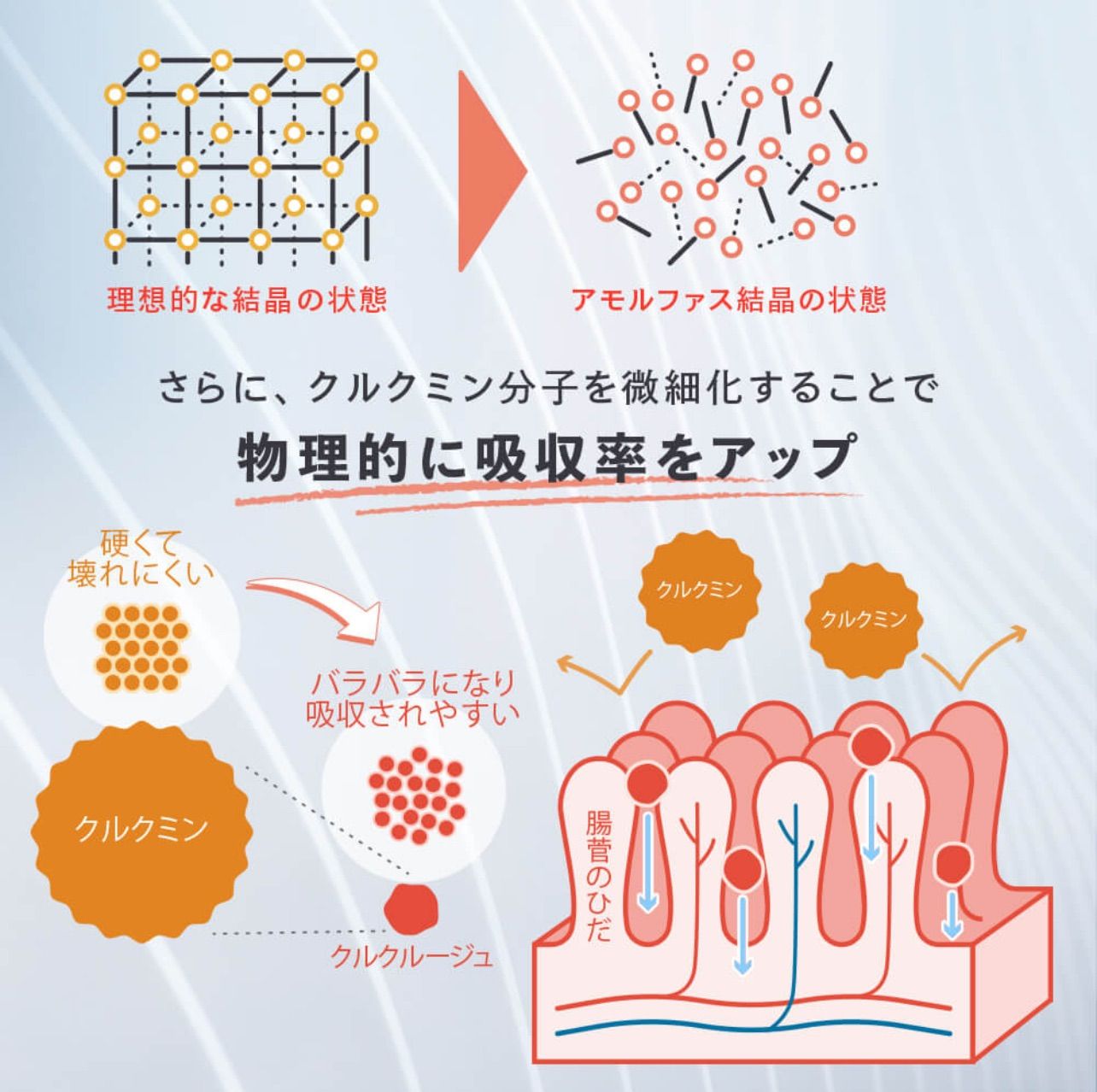 サプリメント 62粒