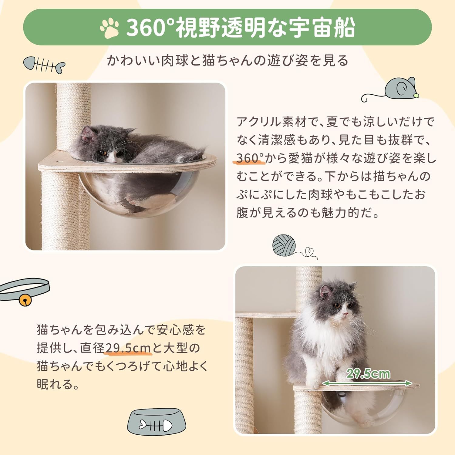 付き