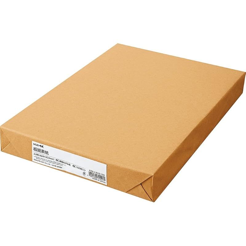 コクヨ ファイル 板紙表紙 K2 A3 100枚 K2セイ-EA3-100
